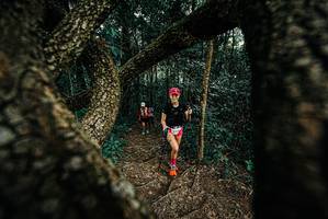 BIB: 
                            <button type="button" onclick="openModal(25667712)" class="btn btn-primary btn-sm float-right btn-popup" data-toggle="modal" data-target=".modal-high-quality">
                        <i class="fas fa-shopping-cart"></i> Add to Cart
                    </button>
                                            <button type="button" onclick="isThisMe(25667712, true)" class="btn btn-success btn-sm float-right btn-popup btn-isme hidden" data-toggle="tooltip" data-placement="bottom" title="นี่คือรูปของคุณใช่ไหม คลิกที่นี่เพื่อเอาเข้าอัลบั้ม">
                        <i class="fas fa-plus"></i> Add to album
                    </button>
                    <button type="button" onclick="isThisMe(25667712, false)" class="btn btn-warning btn-sm float-right btn-popup btn-isnotme hidden">
                        <i class="fas fa-ban"></i> Remove from album
                    </button>